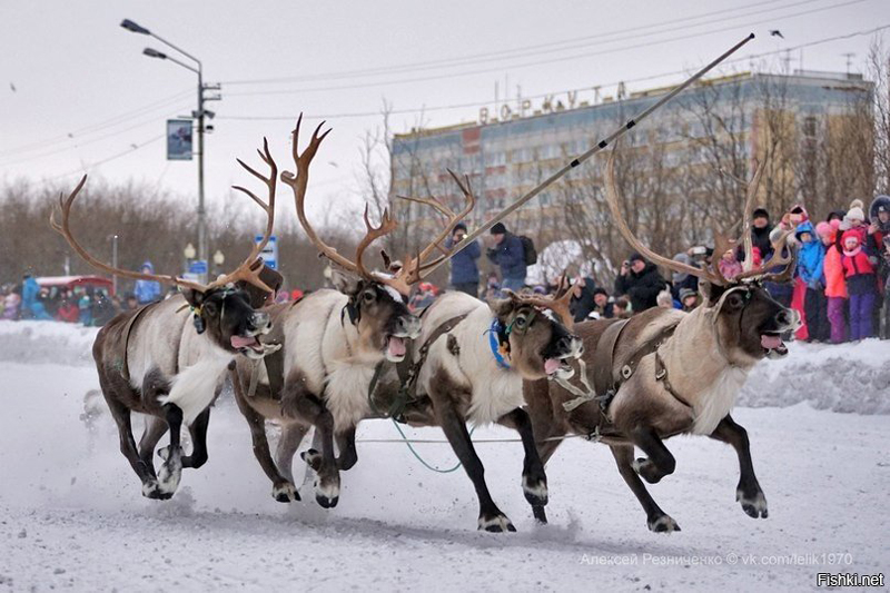 С праздником, любимый город! .